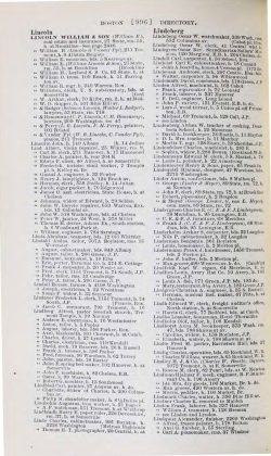 A scanned image of a page from a printed trade directory: leaf 1017 of The Boston Directory, 1901. The image shows the printed page itself; its text is not reproduced in this description.