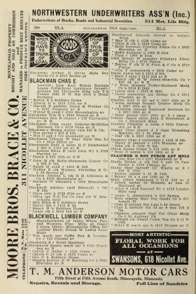 A scanned image of a page from a printed trade directory: leaf 289 of Davison's Minneapolis City Directory. The image shows the printed page itself; its text is not reproduced in this description.