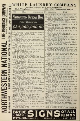 A scanned image of a page from a printed trade directory: leaf 291 of Davison's Minneapolis City Directory. The image shows the printed page itself; its text is not reproduced in this description.